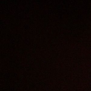 Meet your Posher, Reyna